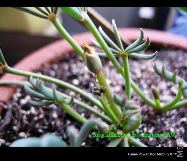 nEO_IMG_������10��16 011.jpg