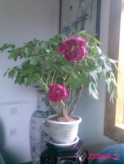 ������� (3).jpg