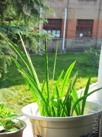 BigBull_nEO_IMG_��Ƭ 025.jpg