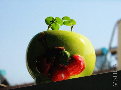 BigBull_nEO_IMG_��Ƭ 008.jpg