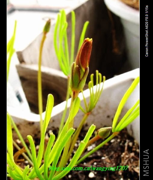 nEO_IMG_������10��16 046.jpg