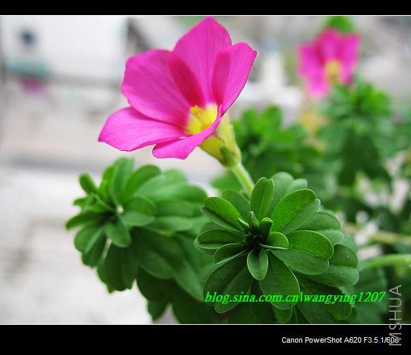 nEO_IMG_������10��16 025.jpg