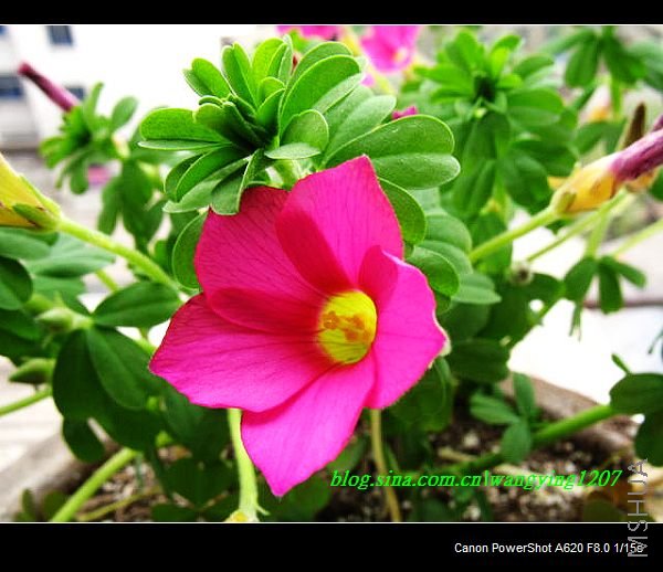 nEO_IMG_������10��16 030.jpg