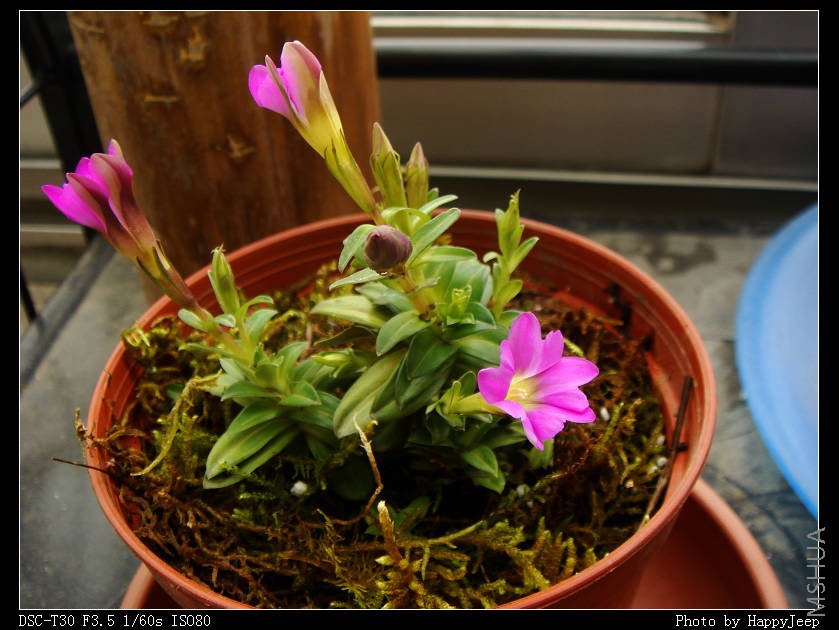 081016 ����2.jpg