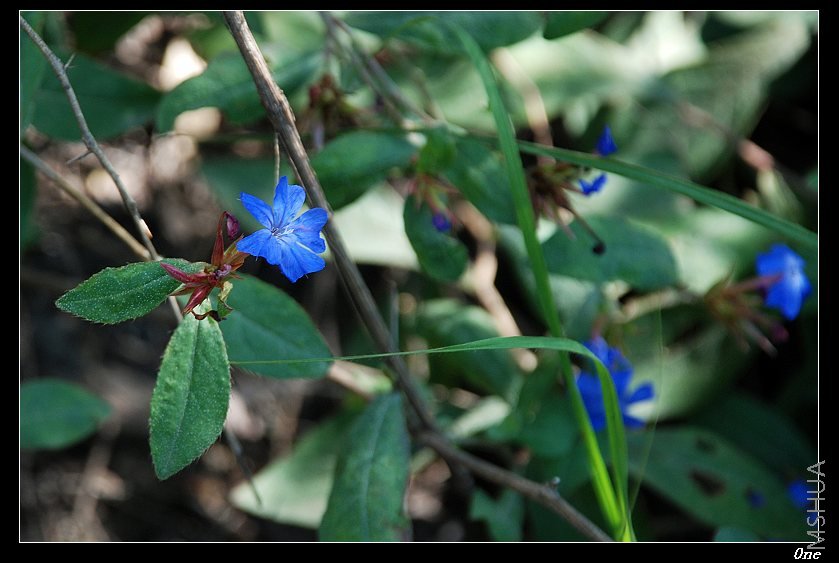 44 ·�߲�֪����С������Ȼ�����������ɫ�ġ�