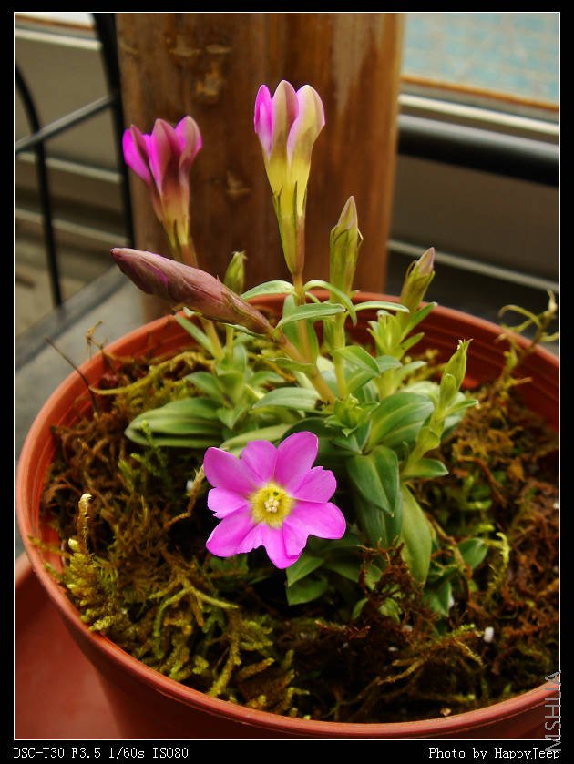 081016 ����1.jpg