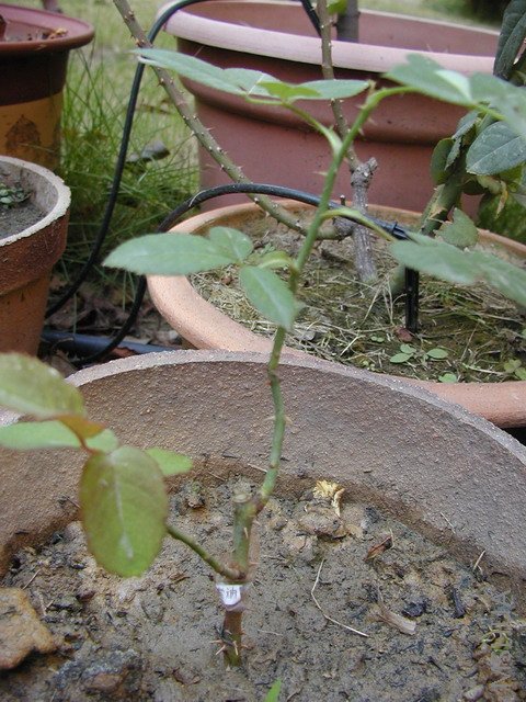 P10102161.JPG