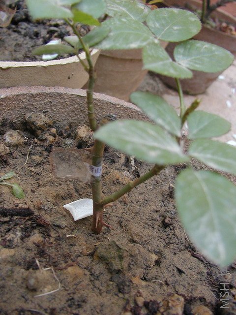 P10102211.JPG