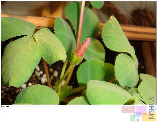 ܽ�أ�Ҳû�п�������