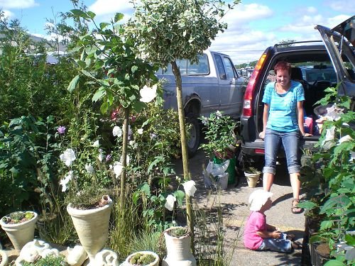 �������ϰ���