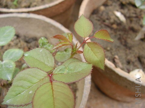 P10102271.JPG