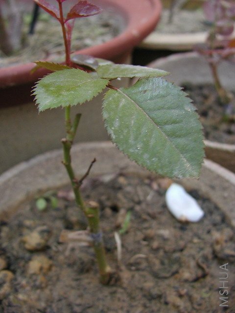 P10102181.JPG