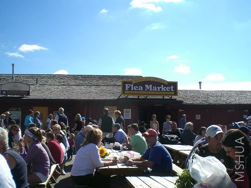 �����г�