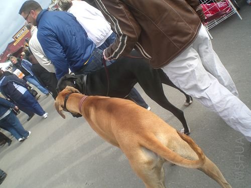 �ȿ��������ܸߴ�Ĺ�