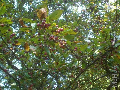 ������ʲô��,ֻҪ�ܽ����,����˶������