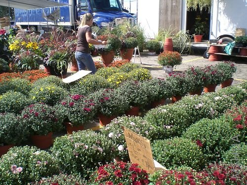 ����ջ�������