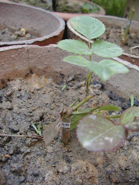 P10102171.JPG