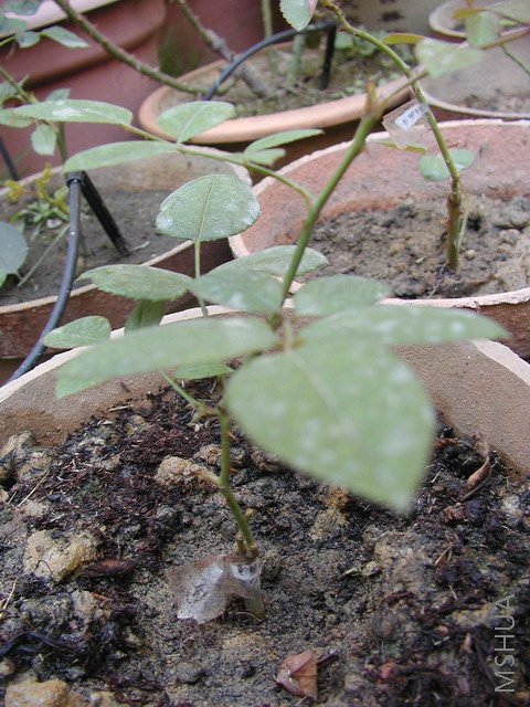 P10102121.JPG