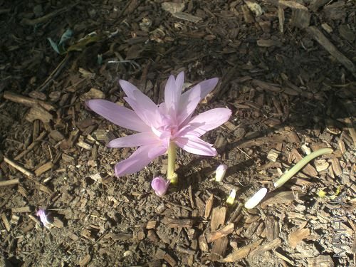 �����µ���ˮ��,�����ذ��,����!