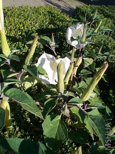 ��һ�ο���������,���ܴ�