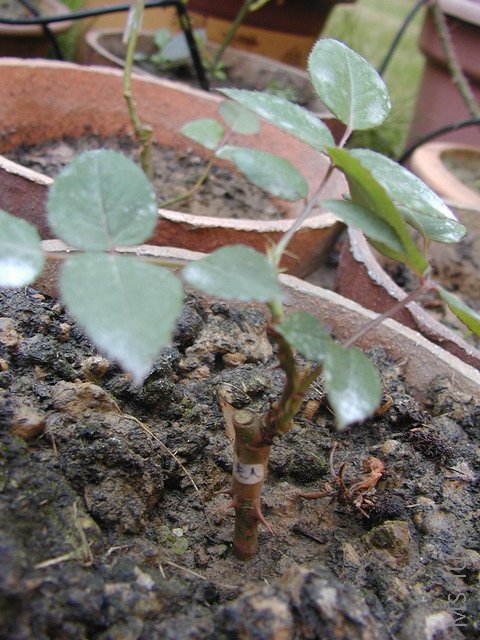 P101021511.JPG