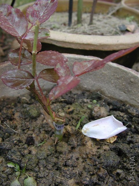 P10102201.JPG