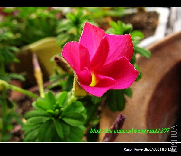 nEO_IMG_Ұ��10��19 011.jpg