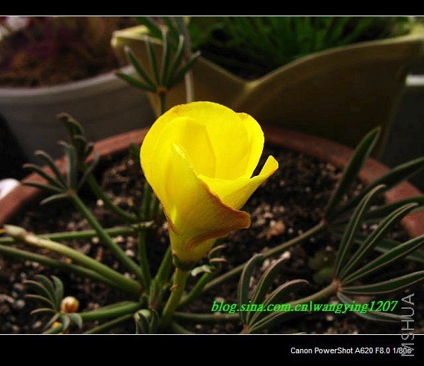 nEO_IMG_Ұ��10��19 002.jpg