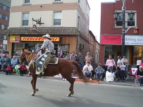 ���ܻ���