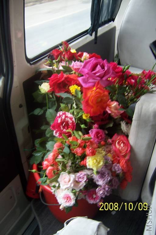 �¼������Ļ�,����Ͱ��....�����ڻ�������·���ĵ�.....�е㶶,�պϿ���........