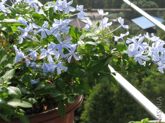 �������ٴ����Ұ�����ģ������ҵ�ʱ�򣬳��þ��Ǳȼ����...