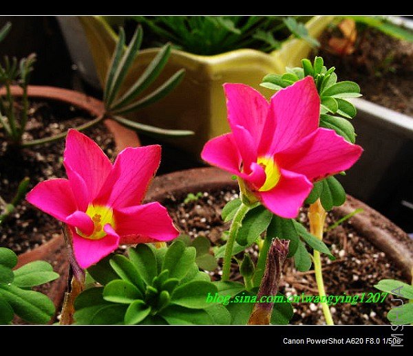 nEO_IMG_Ұ��10��19 009.jpg