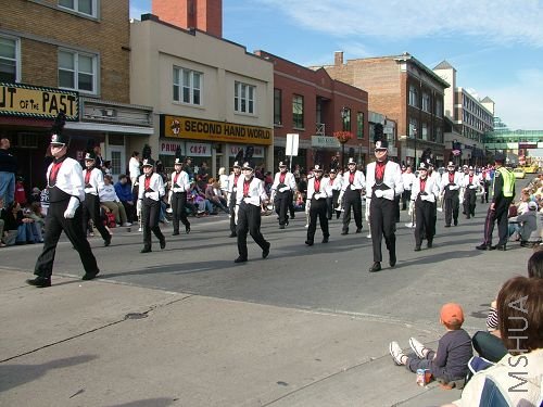 ������Ǿ����ֶ�,��˧��һֻ����