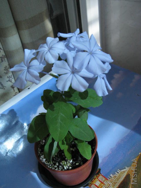 ���������Ͼ�Ҫ������...Ҳ��������