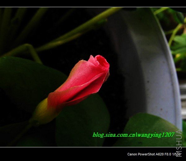 nEO_IMG_Ұ��10��19 014.jpg