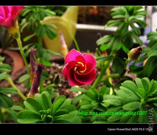 nEO_IMG_Ұ��10��19 010.jpg