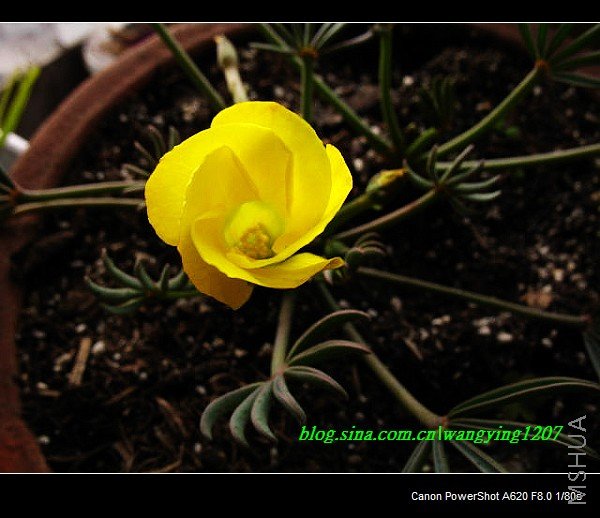 nEO_IMG_Ұ��10��19 003.jpg