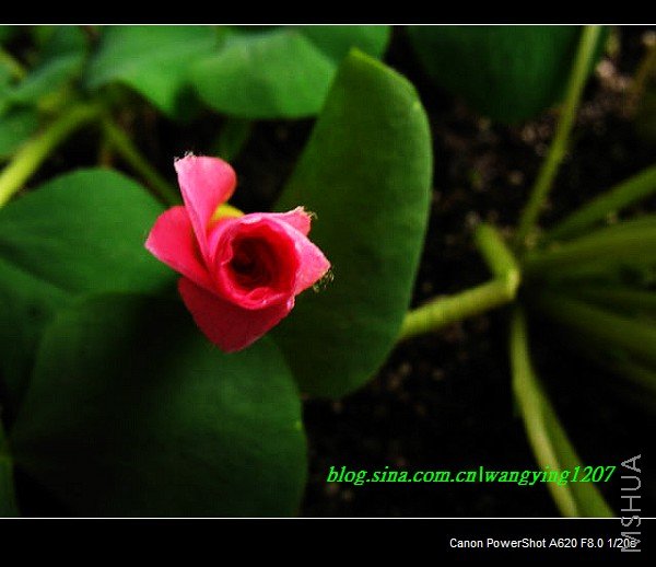 nEO_IMG_Ұ��10��19 017.jpg