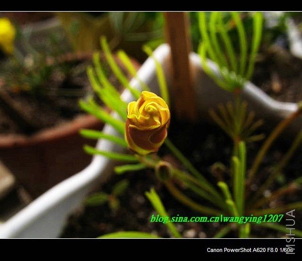 nEO_IMG_Ұ��10��19 004.jpg