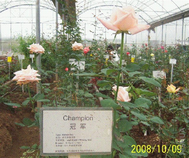 δ����12 (С).GIF