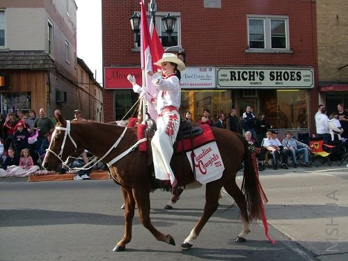 ���ڴ����ϵ�Ůţ��,�ܿ�Ŷ