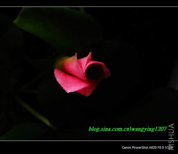 nEO_IMG_Ұ��10��19 015.jpg