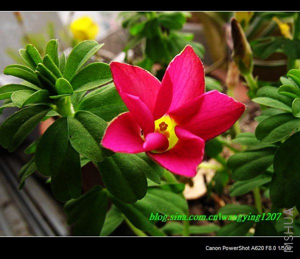 nEO_IMG_Ұ��10��19 013.jpg