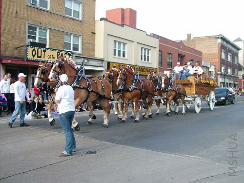 ��Ư���ĸ�ͷ����