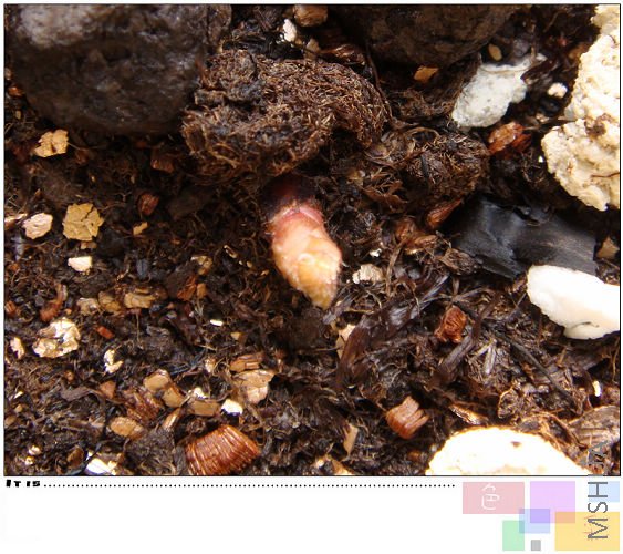 �����ʵ��ѿ�ܾ��ˣ������������