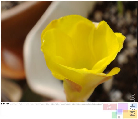 �Ƶúܴ����Ǻ�