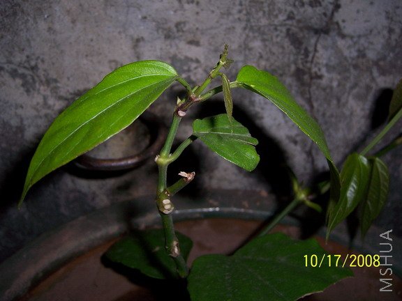 ��Ƭ 1074(576).jpg