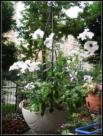 ʵ�ʵĻ�Ҫ����Ƭ�ÿ��ö�