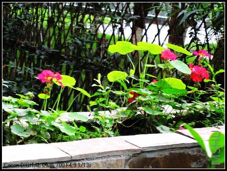 ֱ������ɫ����