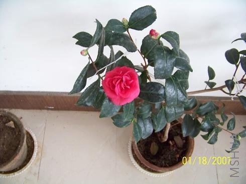 ��Ƭ 011.jpg